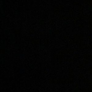 Meet your Posher, Elysia